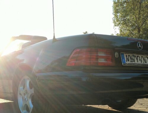 Am Anfang war das Dach…