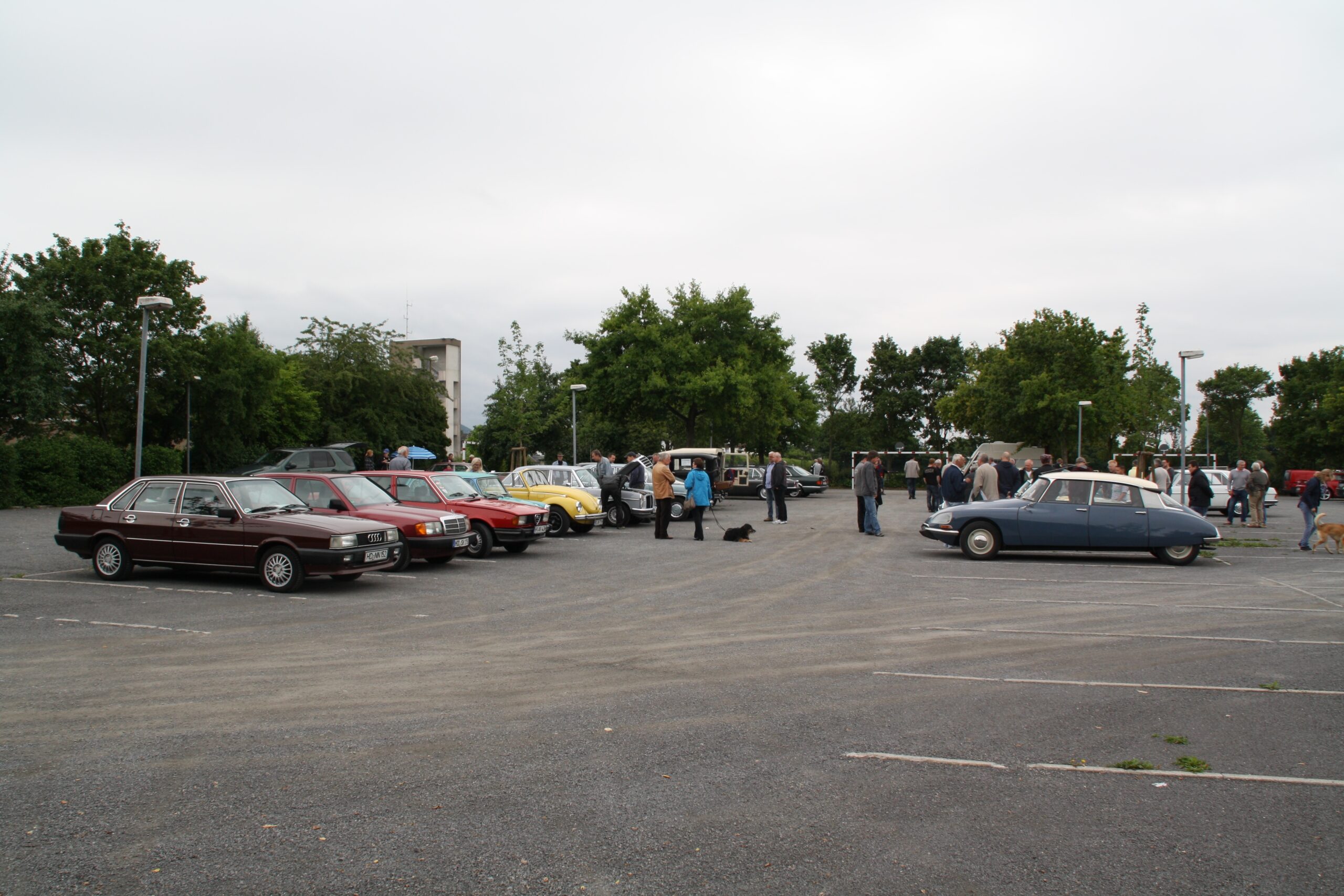 IMG_4090_ji