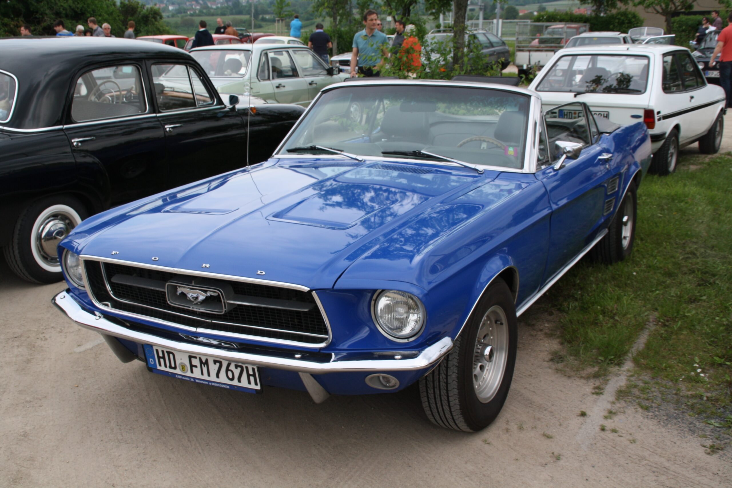 IMG_1753_ji