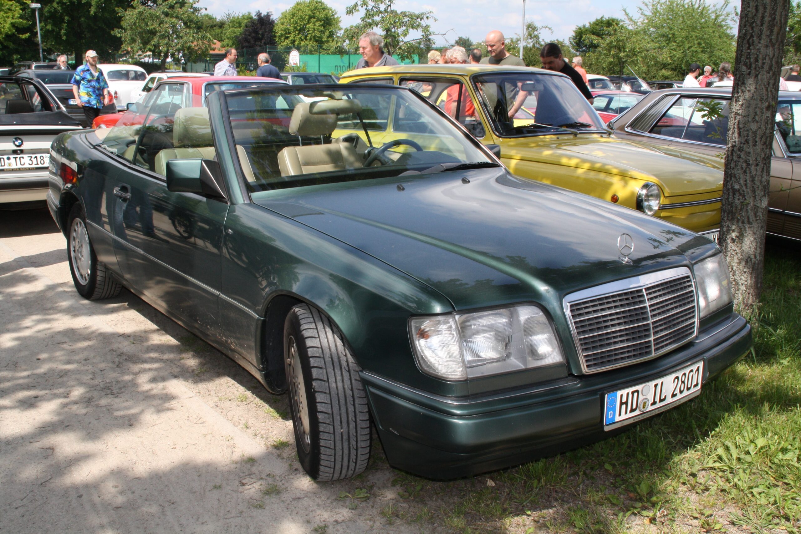 IMG_2388_ji