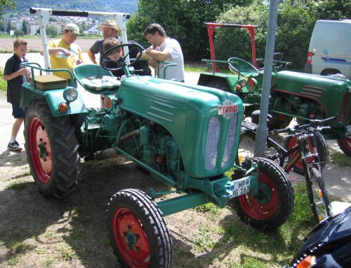 Traktor- und Oldtimertreffen in Hamm am Rhein