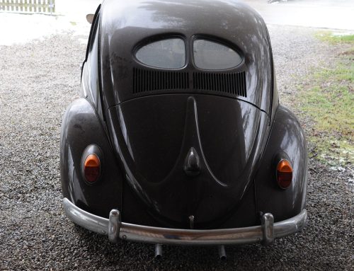 Aus der Traum? Denkste!